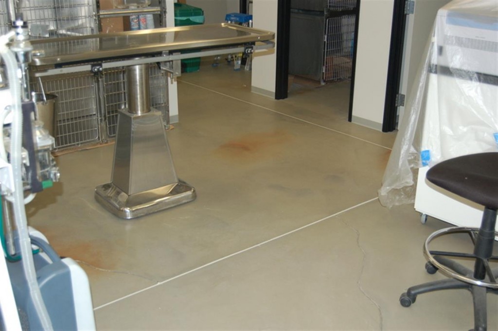 Office floor stain and seal